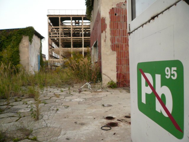 photo6.jpg
