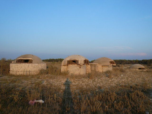 photo4.jpg