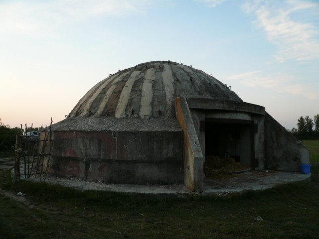 photo7.jpg