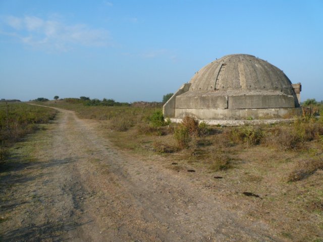 photo9.jpg