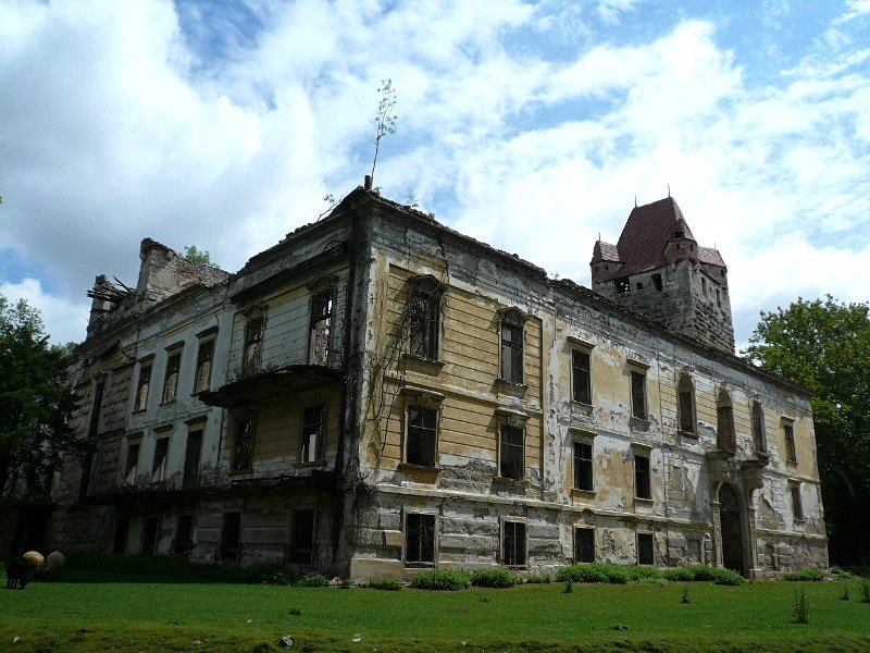 photo.jpg