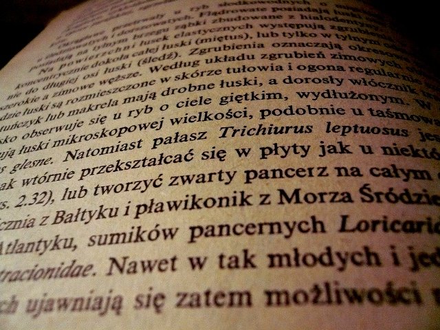 photo6.jpg