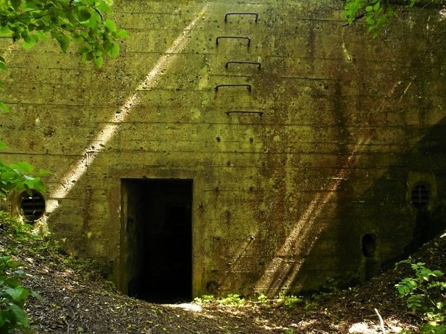 photo.jpg