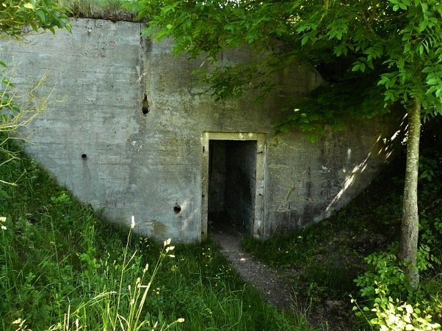 photo10.jpg