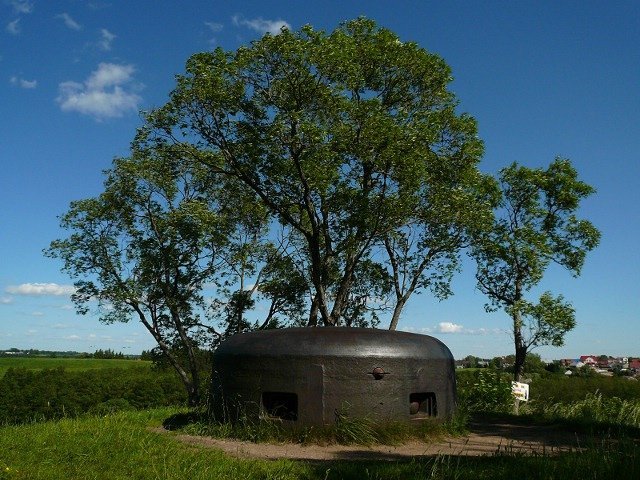photo6.jpg
