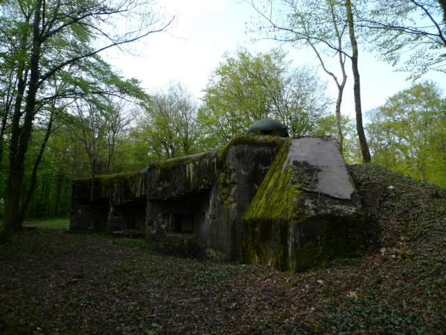 photo.jpg