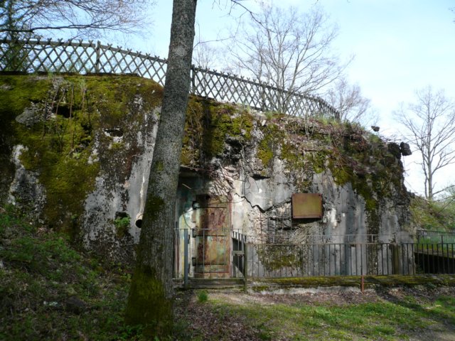 photo20.jpg