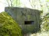 photo8_small.jpg