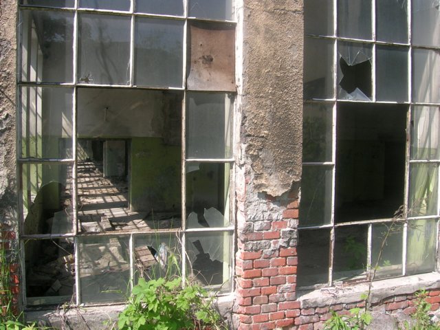 photo19.jpg
