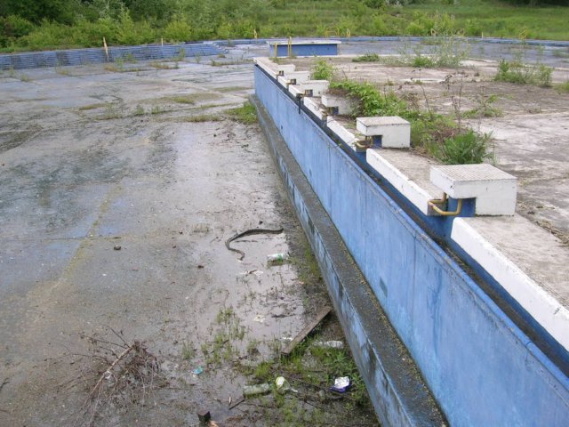 photo10.jpg