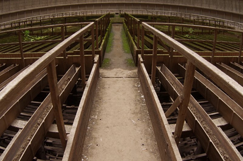 photo4.jpg