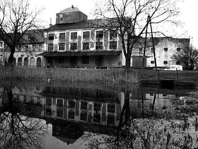 photo.jpg