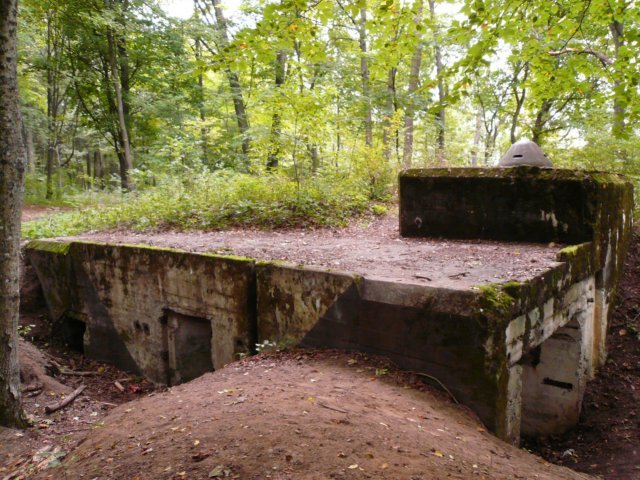 photo.jpg