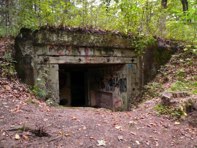 photo7.jpg