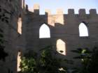 photo4_small.jpg