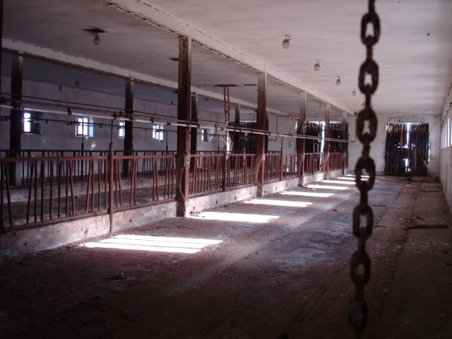 photo15.jpg