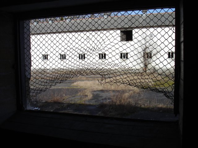 photo7.jpg
