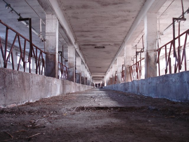 photo9.jpg