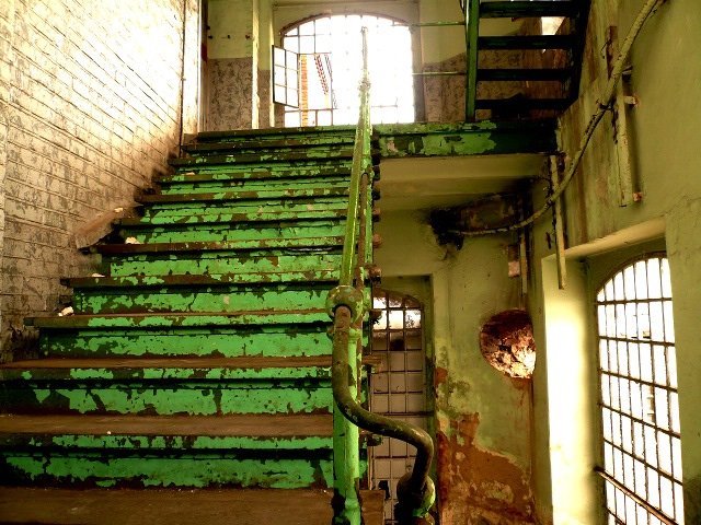 photo8.jpg