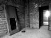 photo5_small.jpg