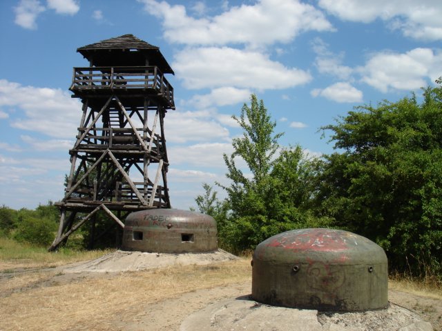 photo.jpg