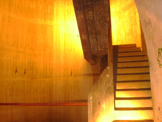 photo19.jpg
