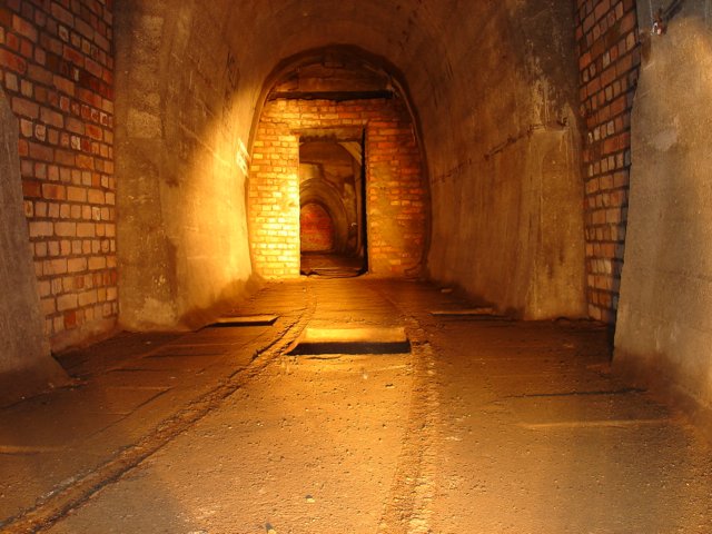 photo42.jpg