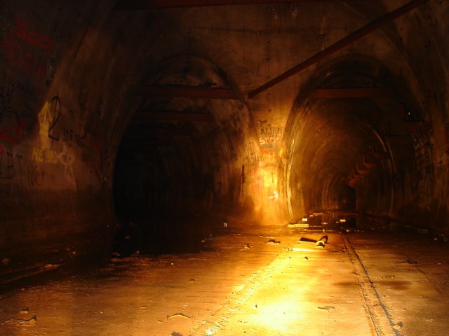 photo49.jpg