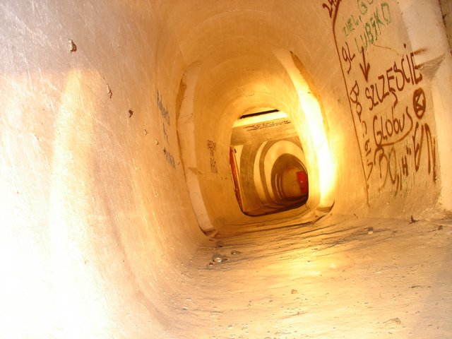 photo56.jpg