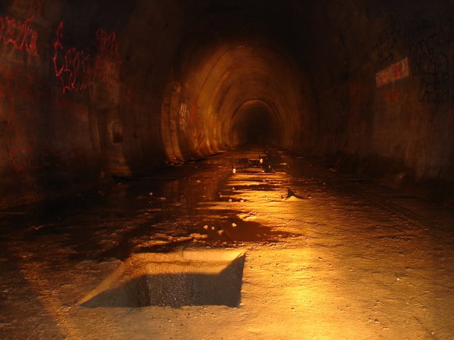 photo67.jpg