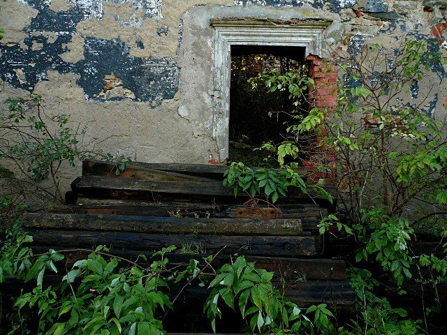 photo7.jpg
