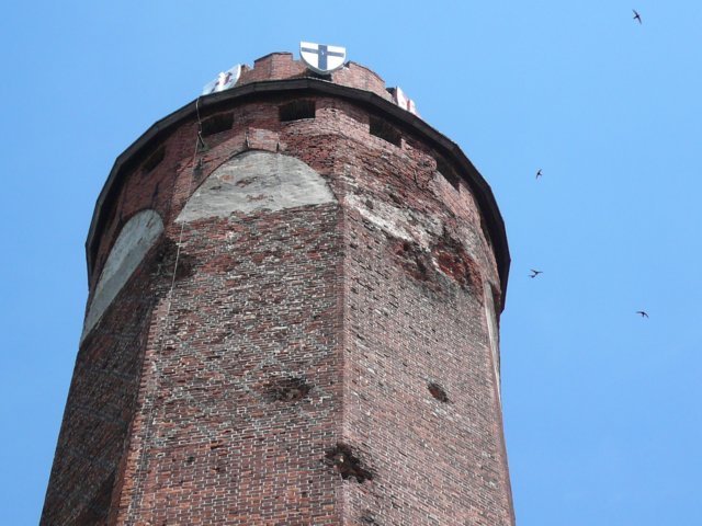 photo5.jpg