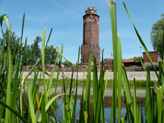 photo7.jpg