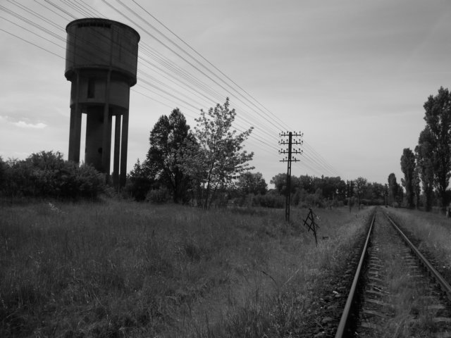 photo.jpg
