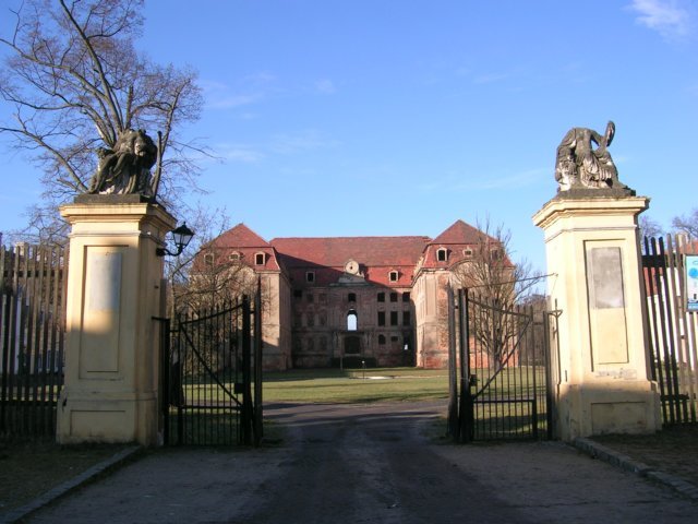 photo9.jpg