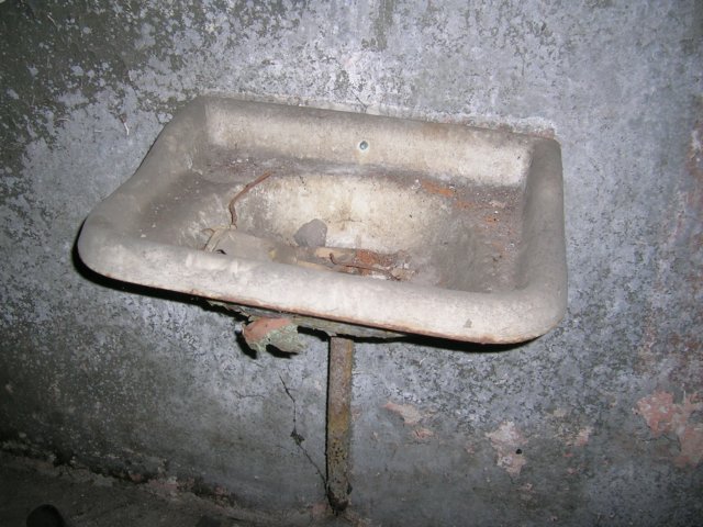 photo5.jpg
