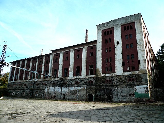 photo.jpg