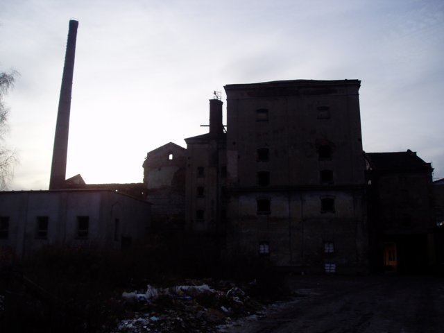 photo15.jpg