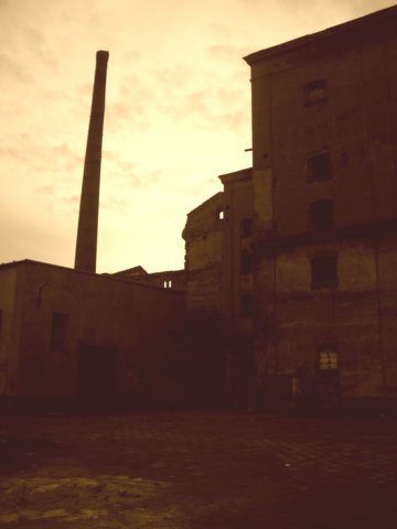 photo3.jpg