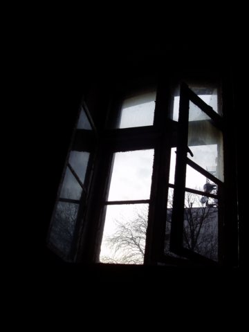 photo7.jpg