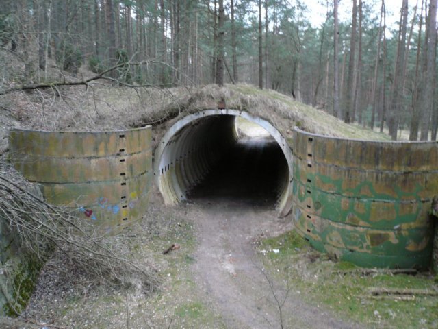 photo.jpg