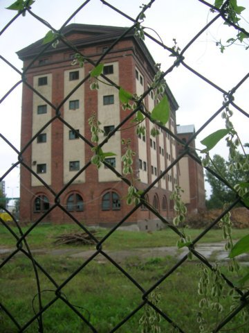 photo.jpg