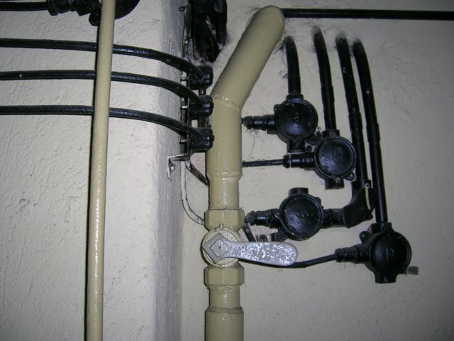 photo9.jpg