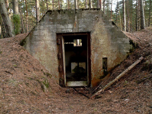 photo14.jpg
