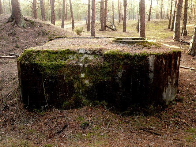 photo7.jpg