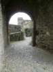 photo5_small.jpg