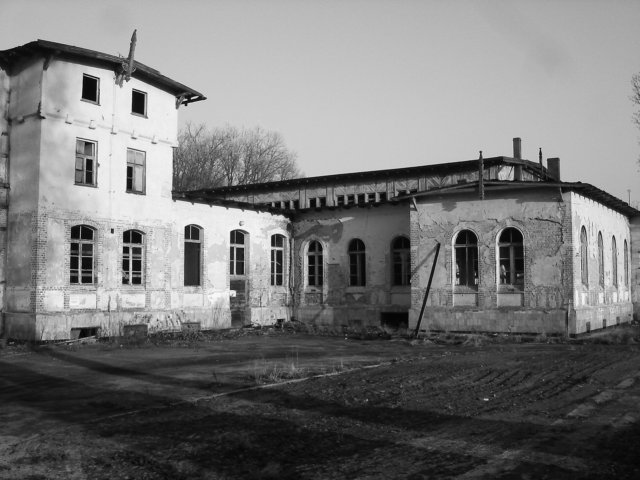 photo.jpg