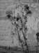 casyno/photo8_small.jpg