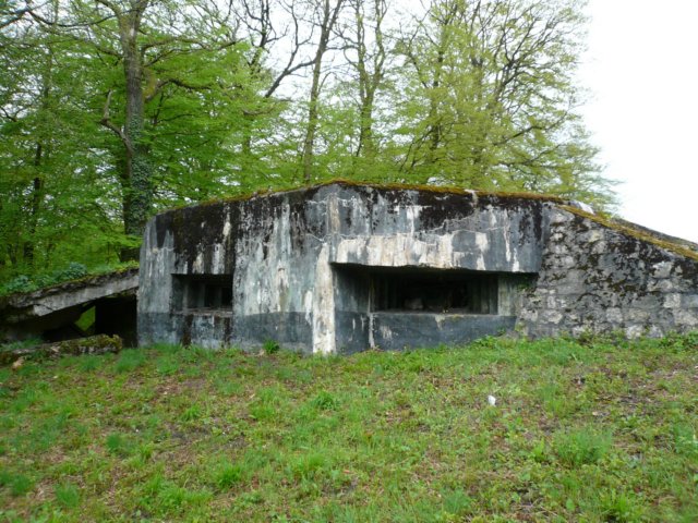 photo.jpg