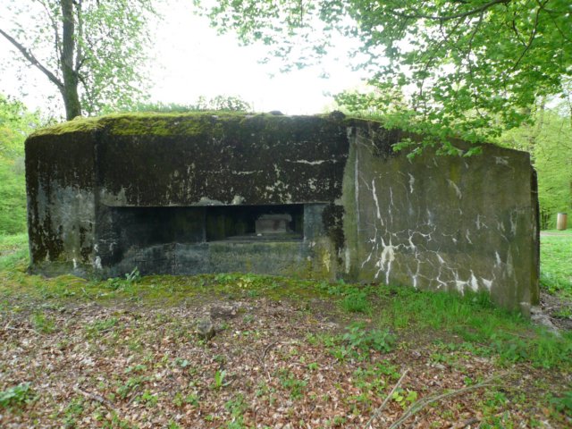 photo4.jpg